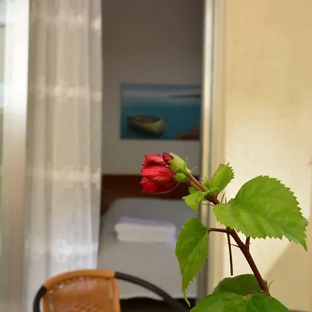 Cozy Studio With Veranda Daire *